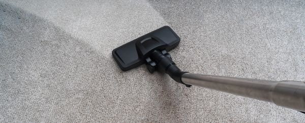 Condo Carpet Cleaning in Woodinville
