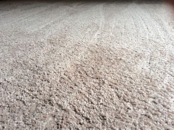 Plush Carpet Installation in Woodinville